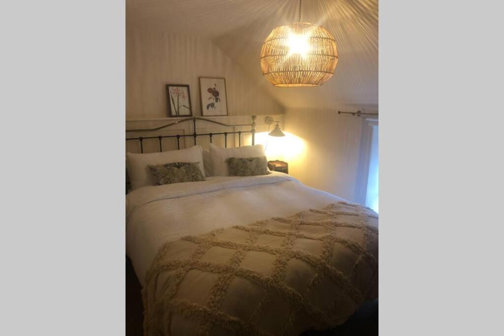 Whitehead The Pink Cottage Upstairs Suite & Garden Summer Room מראה חיצוני תמונה