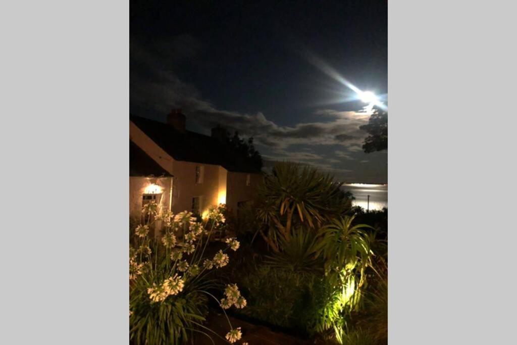 Whitehead The Pink Cottage Upstairs Suite & Garden Summer Room מראה חיצוני תמונה