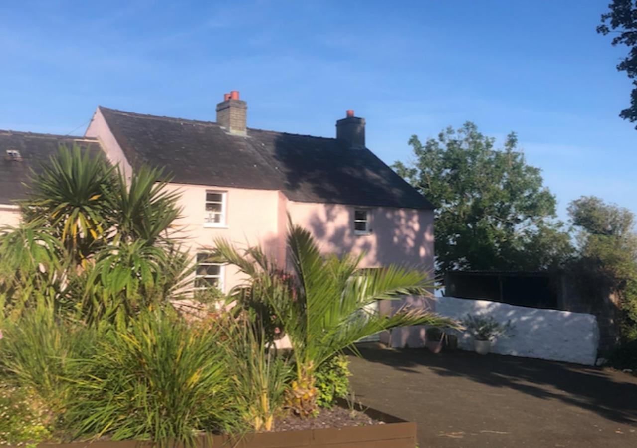 Whitehead The Pink Cottage Upstairs Suite & Garden Summer Room מראה חיצוני תמונה