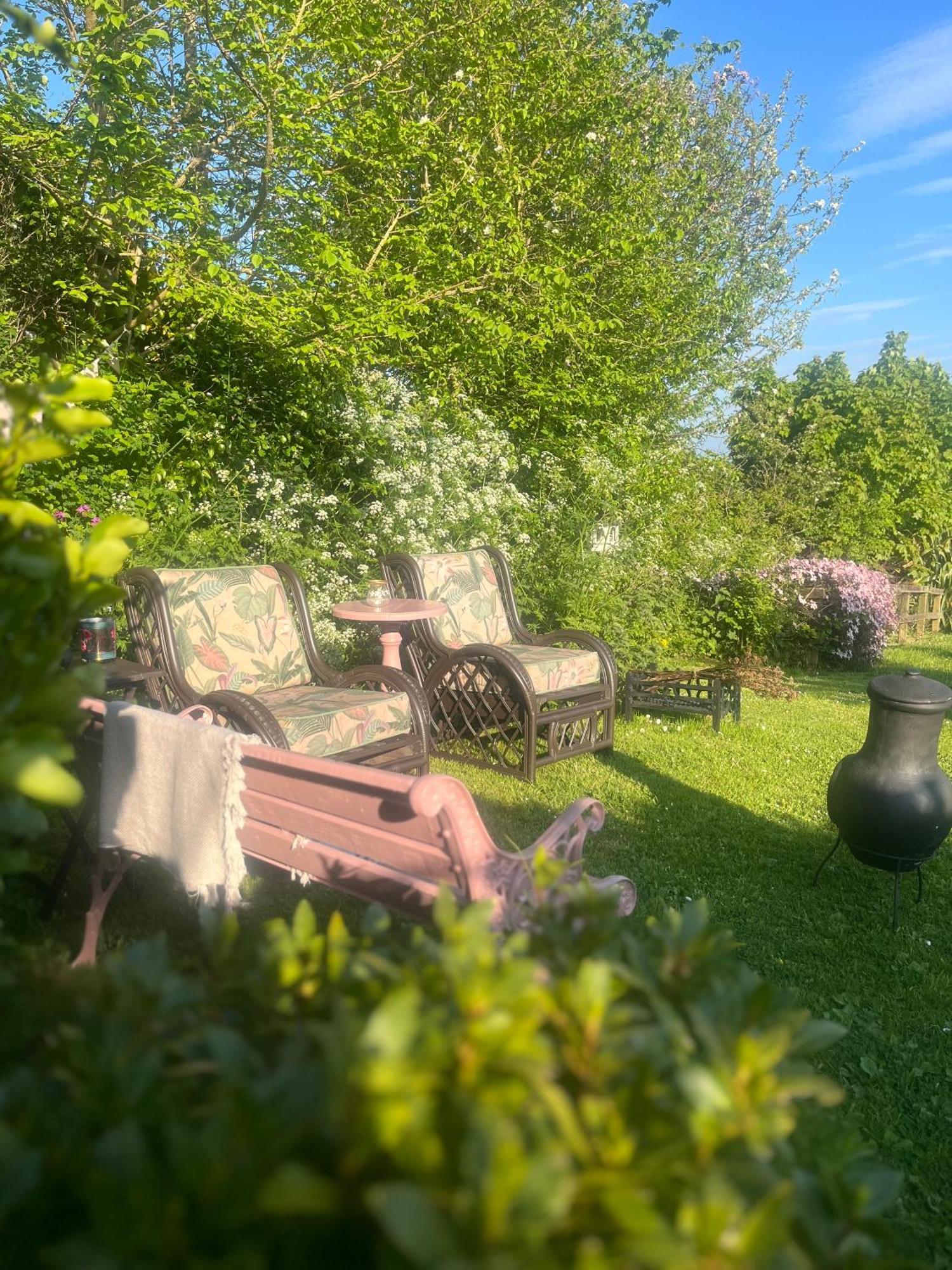 Whitehead The Pink Cottage Upstairs Suite & Garden Summer Room מראה חיצוני תמונה