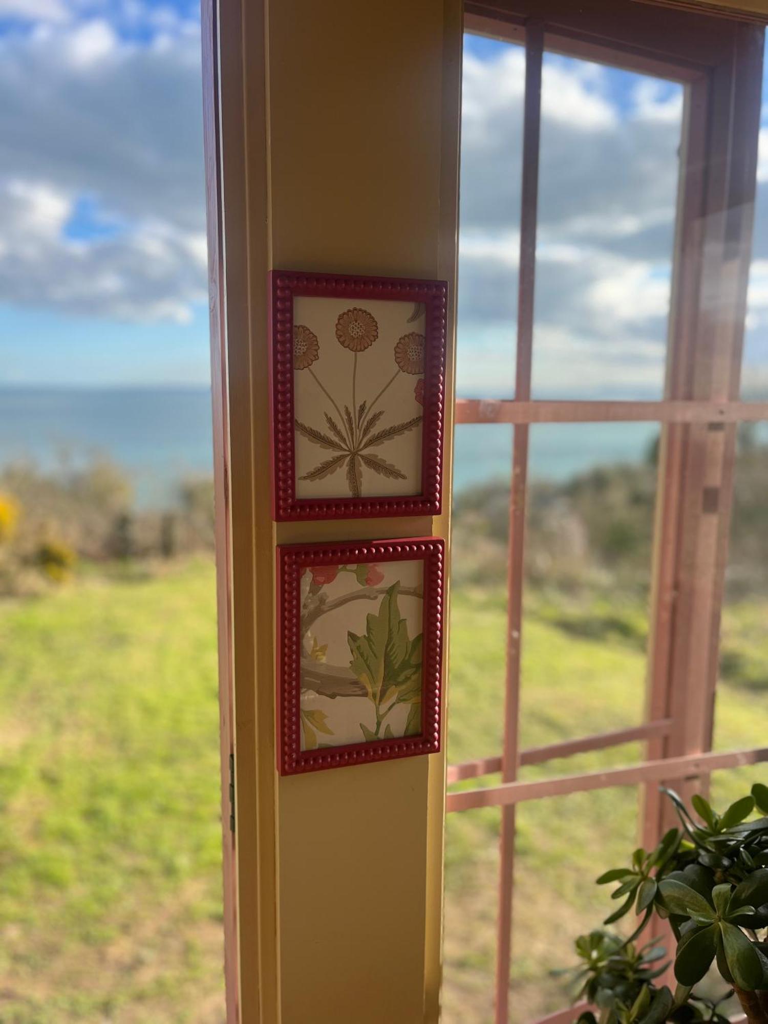 Whitehead The Pink Cottage Upstairs Suite & Garden Summer Room מראה חיצוני תמונה