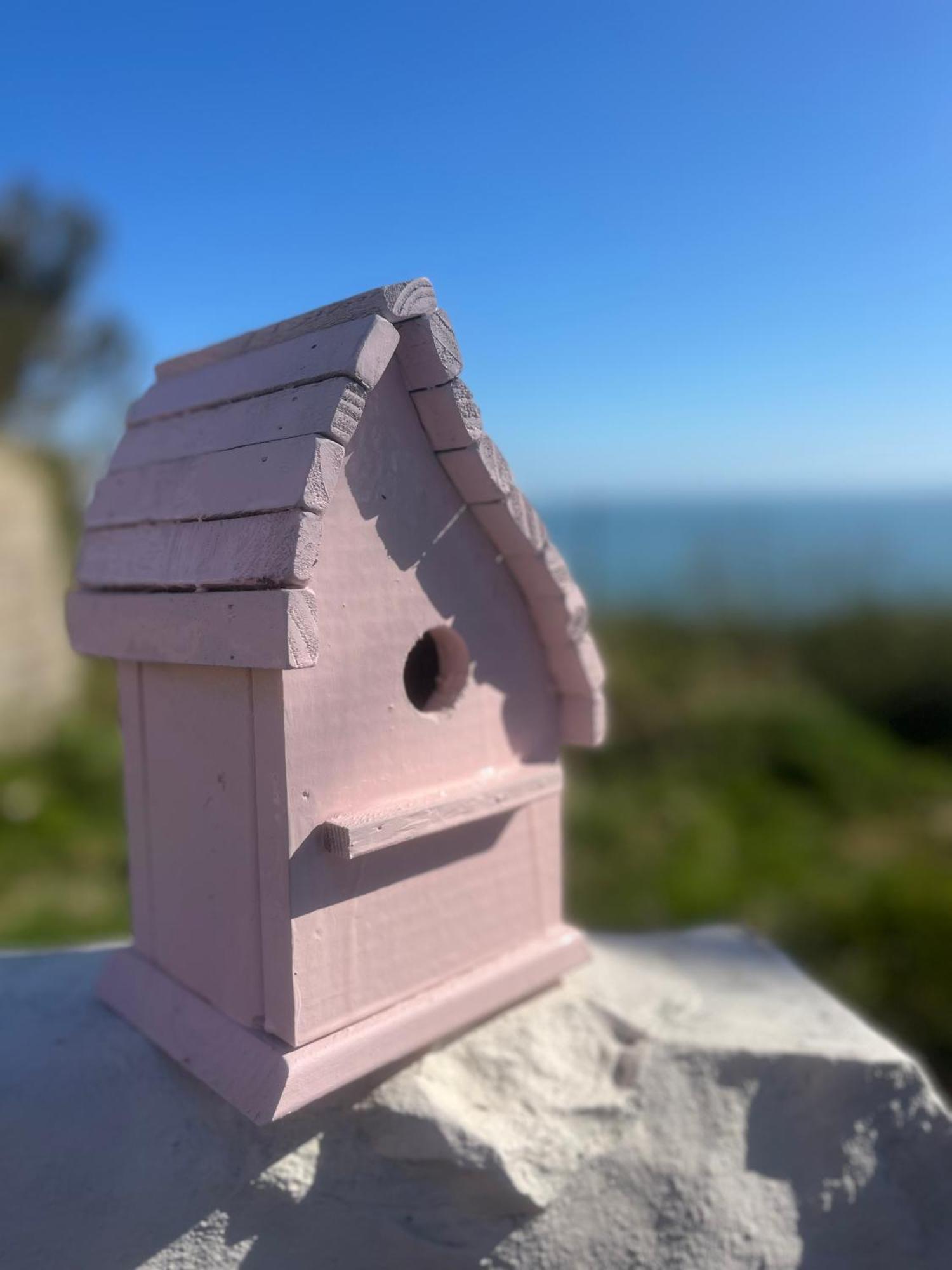 Whitehead The Pink Cottage Upstairs Suite & Garden Summer Room מראה חיצוני תמונה