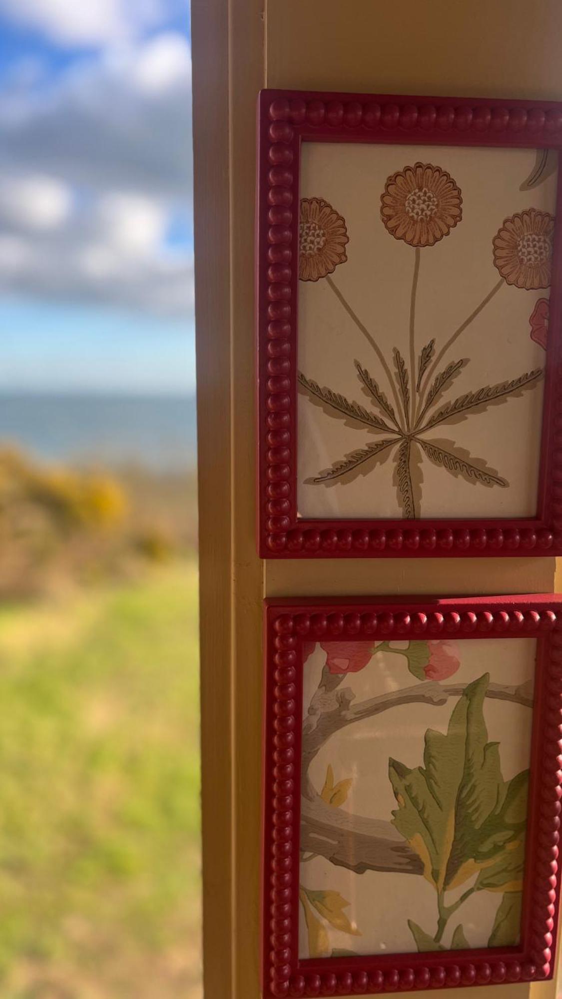 Whitehead The Pink Cottage Upstairs Suite & Garden Summer Room מראה חיצוני תמונה